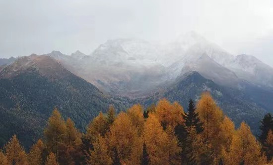 9371635353009_.pic