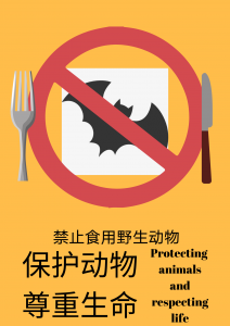 19工商企业管理王伊娜